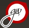 estudiogw.com